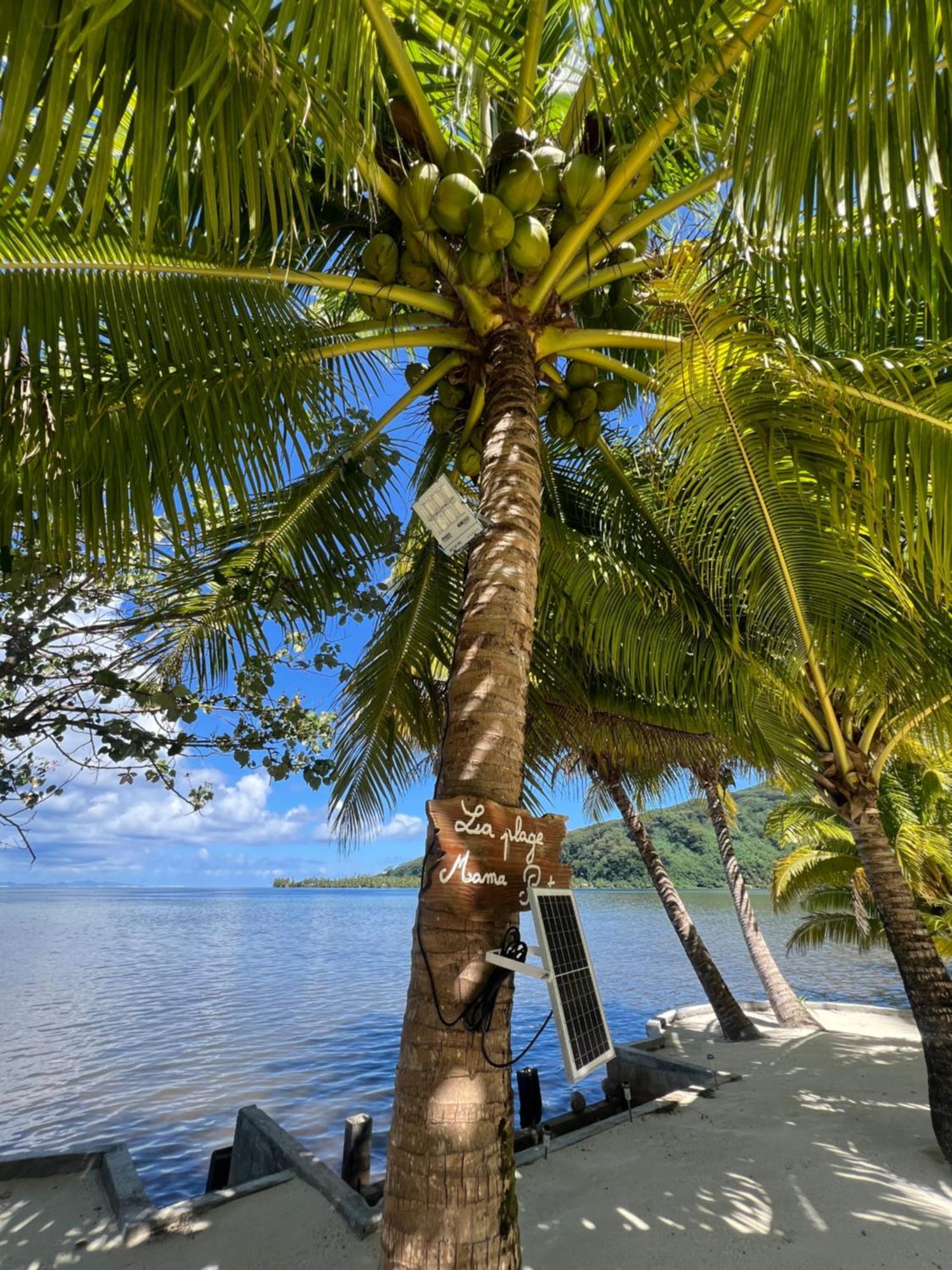 Fare Mama Rota - Au Bord De L'Ocean Villa Taputapuapea Eksteriør bilde