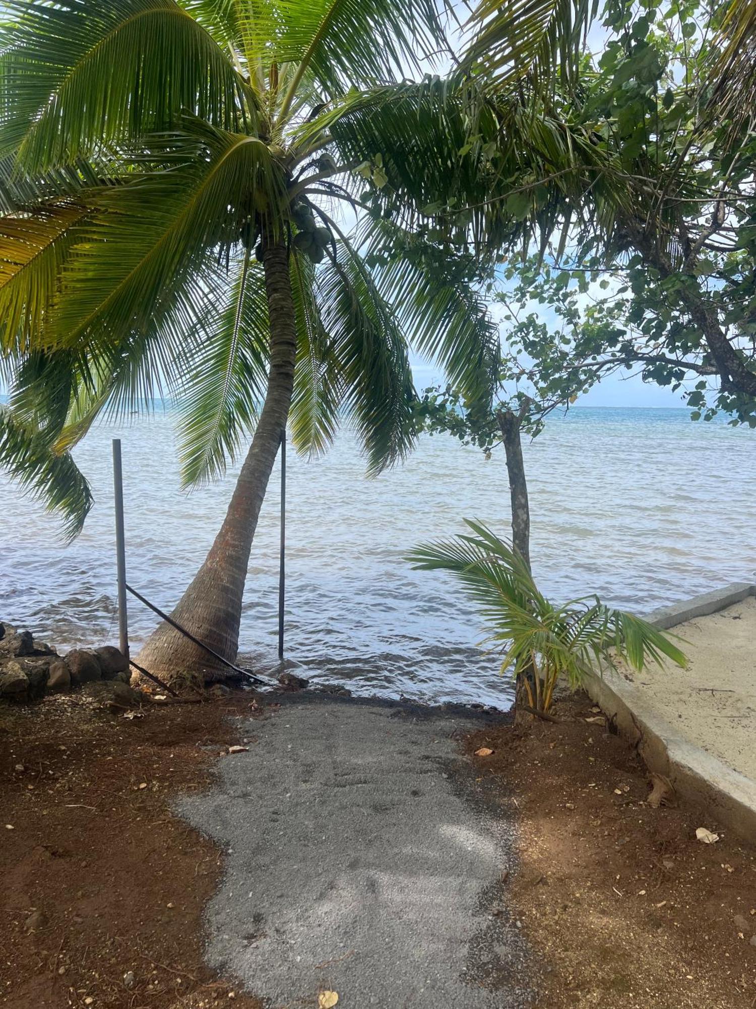 Fare Mama Rota - Au Bord De L'Ocean Villa Taputapuapea Eksteriør bilde